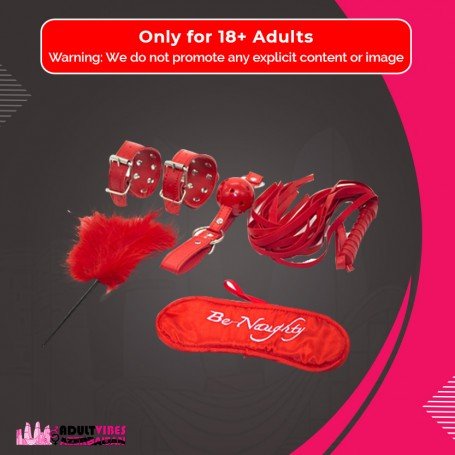 BDSM SEX KIT Bracelet+Whip+Goggles+Feather+Mouth Ball Gag BDSM-001