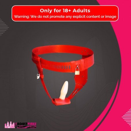 Chastity Lock Device for Women BDSM-002