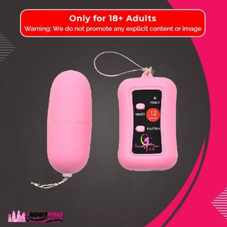 Remote Control Vibrating Egg BV-003