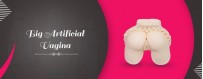 Shop For The Big Artificial Vagina Sex Toys Online In Bneid il-Gār